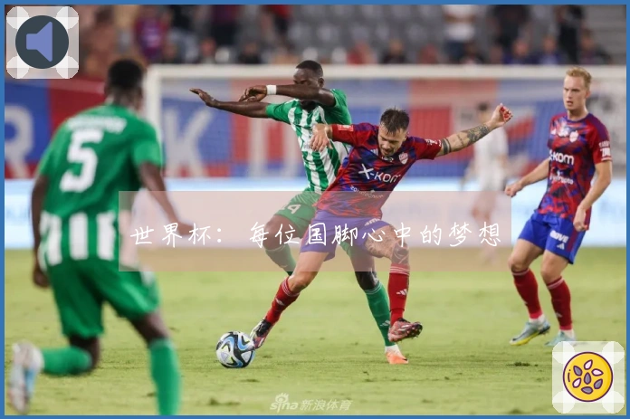 世界杯：每位国脚心中的梦想