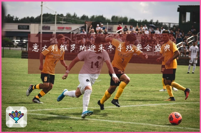意大利维罗纳迎来冬季残奥会盛典