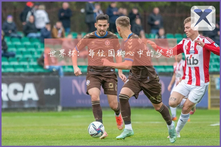 世界杯：每位国脚心中的梦想